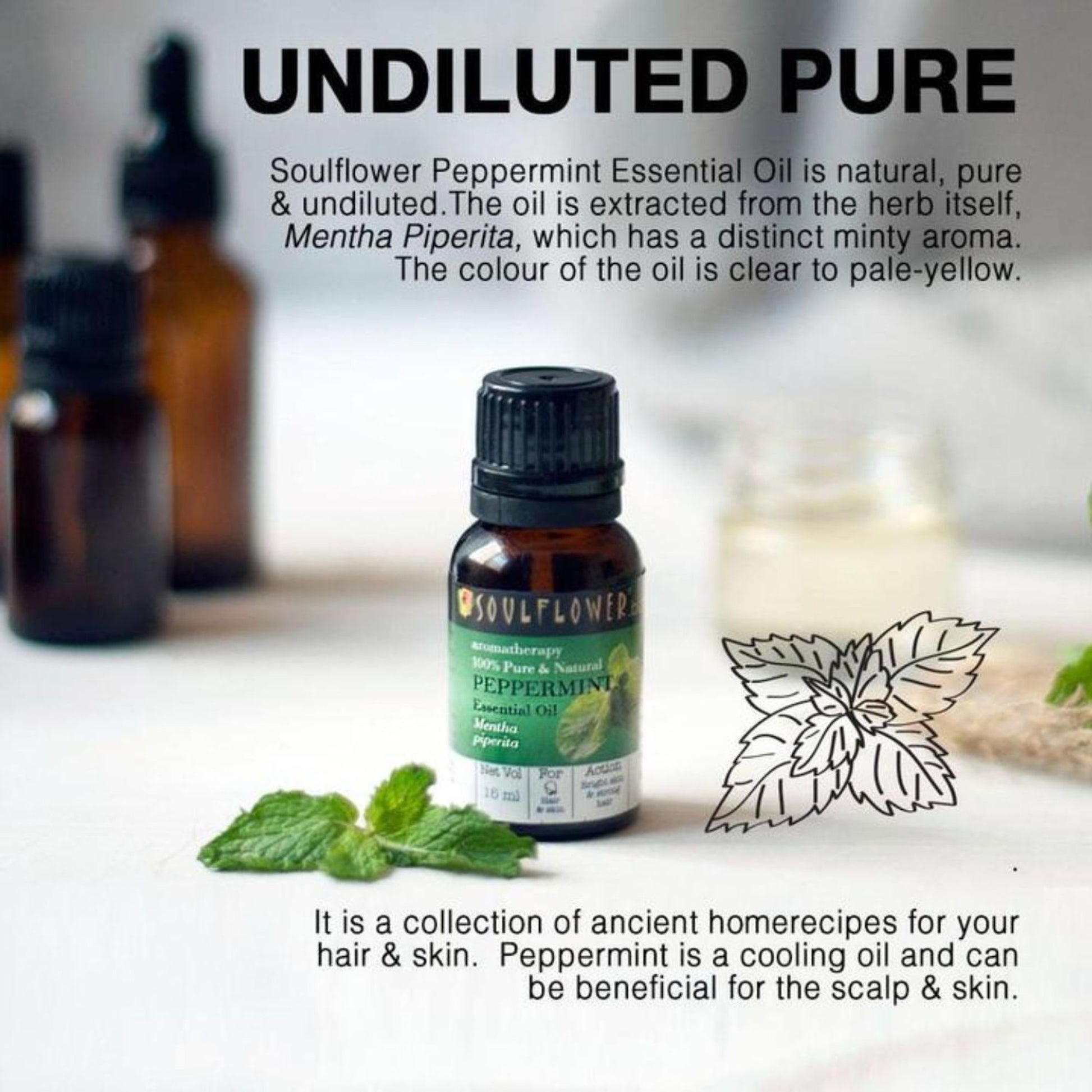 Soulflower Organic Peppermint Essential Oil for Hair Growth, Itchy Scalp Care, Dandruff Control