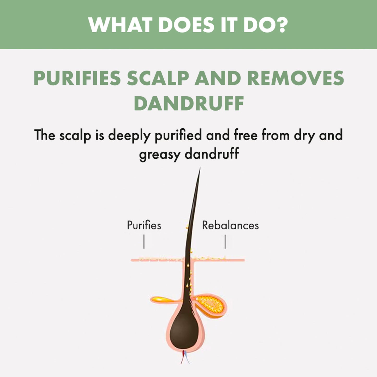 ALFAPARF MILANO Scalp Rebalance Exfoliating Scrub For Dandruff & Hairfall, Sulfate Free