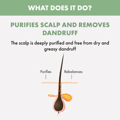 ALFAPARF MILANO Scalp Rebalance Exfoliating Scrub For Dandruff & Hairfall, Sulfate Free