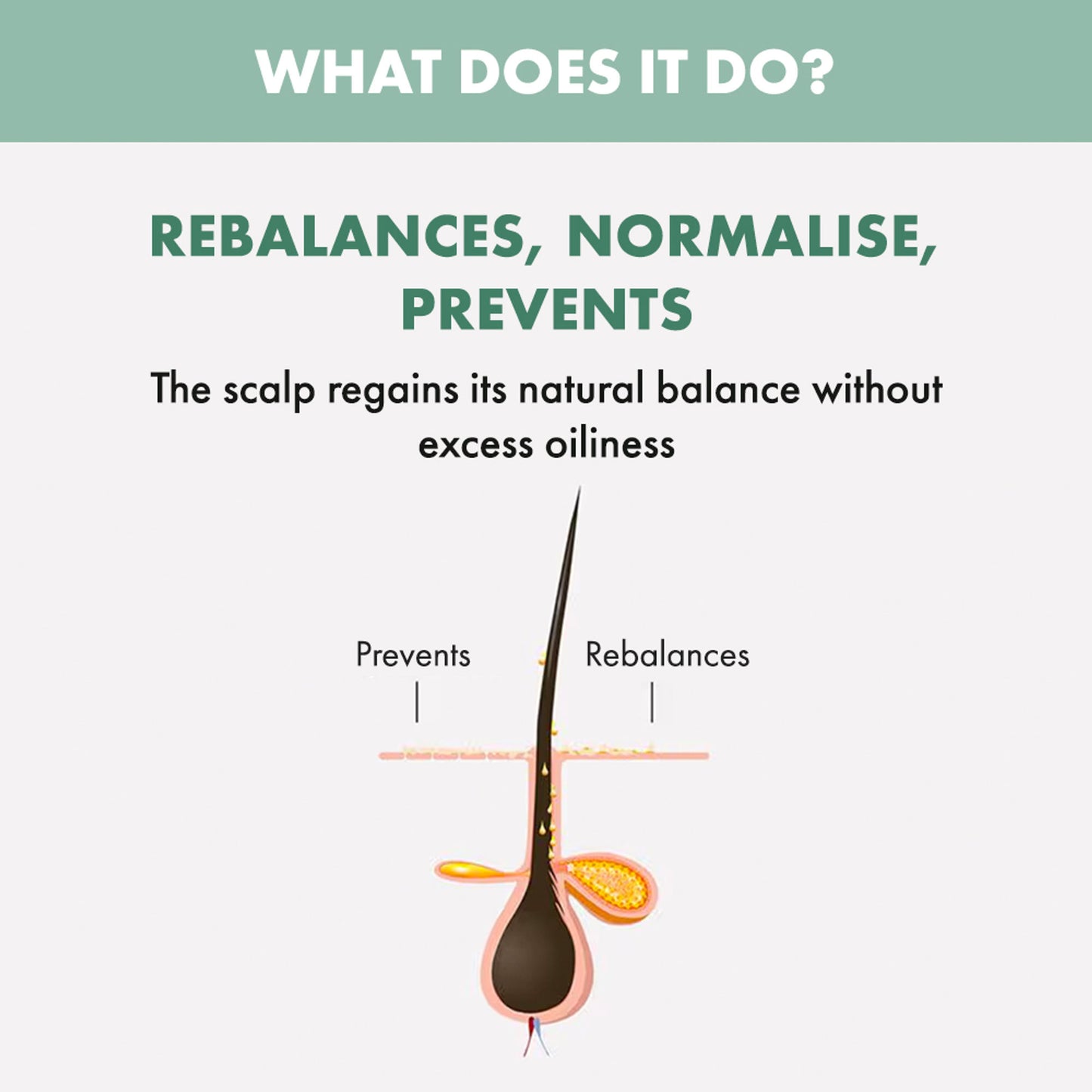 ALFAPARF MILANO Scalp Rebalance Shampoo