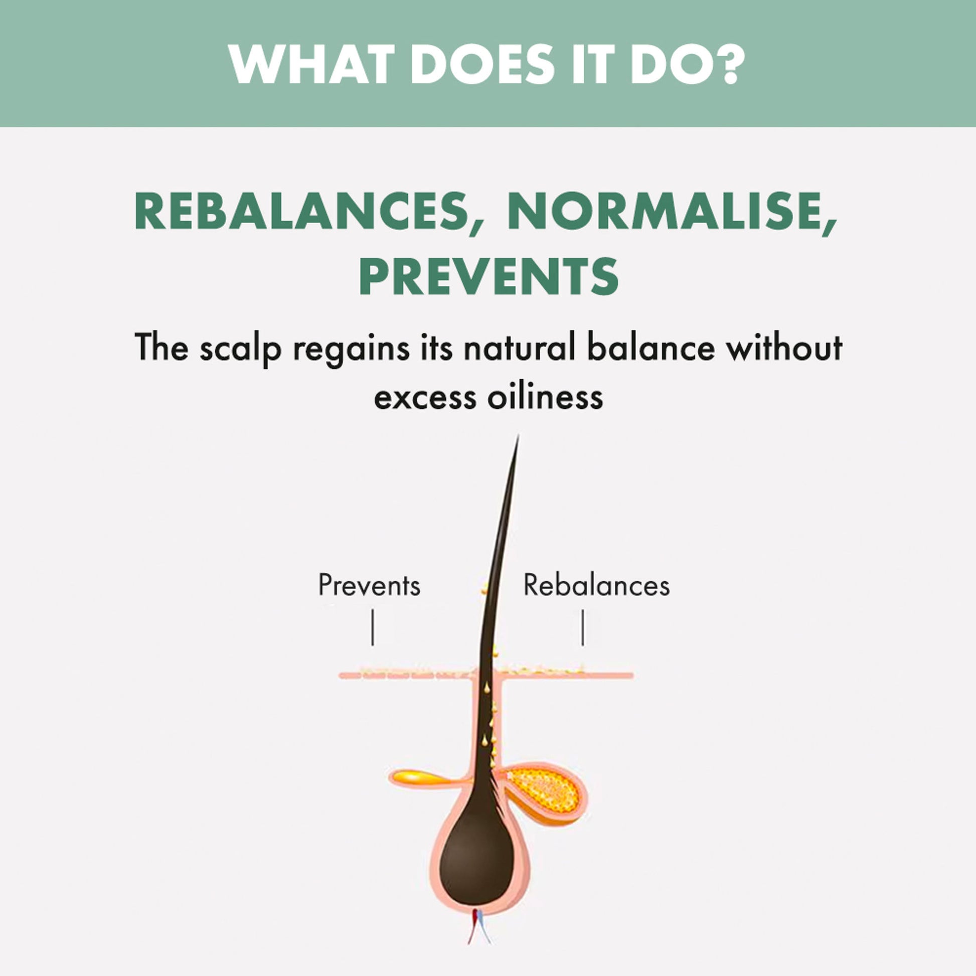 ALFAPARF MILANO Scalp Rebalance Shampoo
