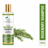 TQS Rosemary Anti-Hair Fall Shampoo With Rosemary & Clove Oil - Reduces Hair Fall
