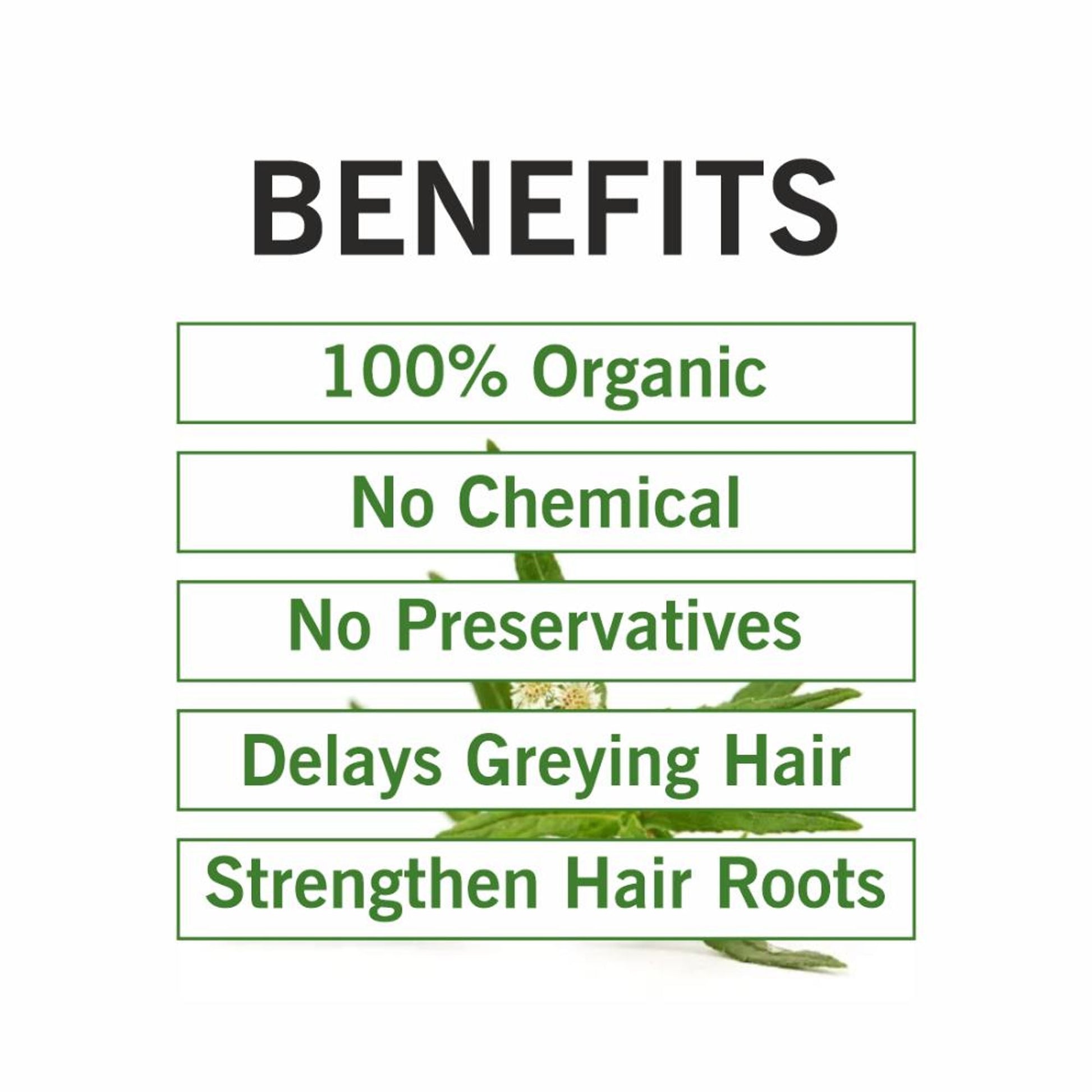 TQS 100% Organic Bhringraj Leaf Powder Deep Moisturize Scalp For Healthy Hair, Chemicals Free