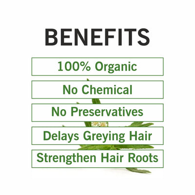 TQS 100% Organic Bhringraj Leaf Powder Deep Moisturize Scalp For Healthy Hair, Chemicals Free