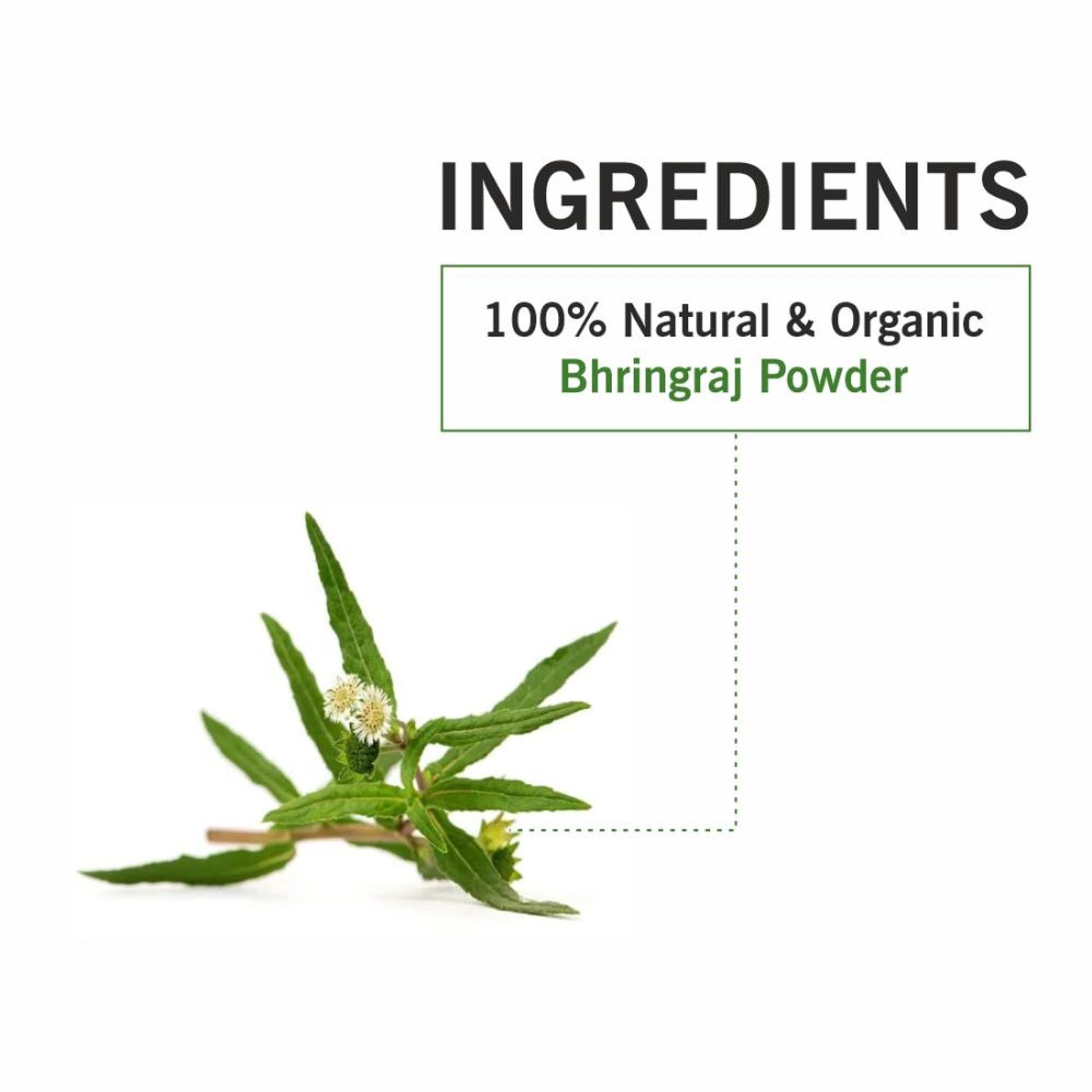 TQS 100% Organic Bhringraj Leaf Powder Deep Moisturize Scalp For Healthy Hair, Chemicals Free