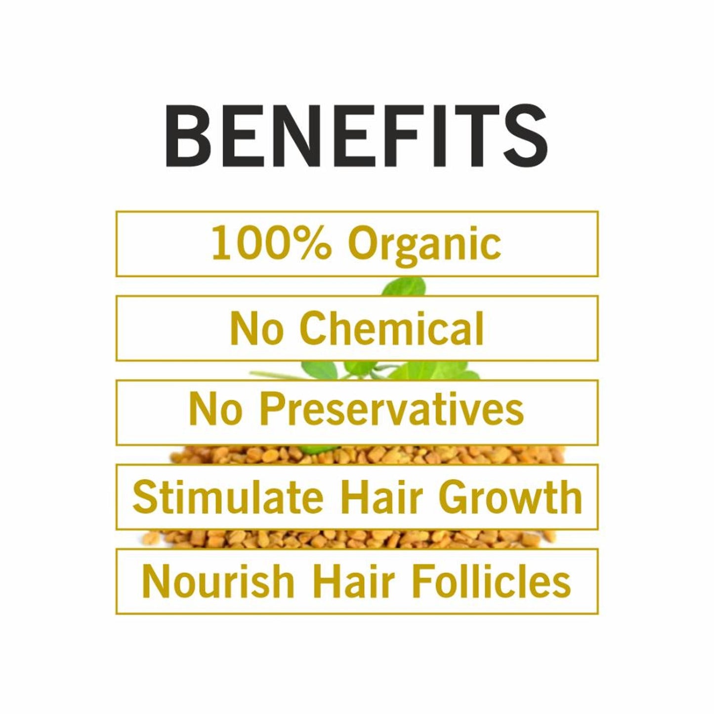 TQS Organic Fenugreek Methi Seed Powder For Hair - Anti-Dandruff & Reduces Scalp Irritation