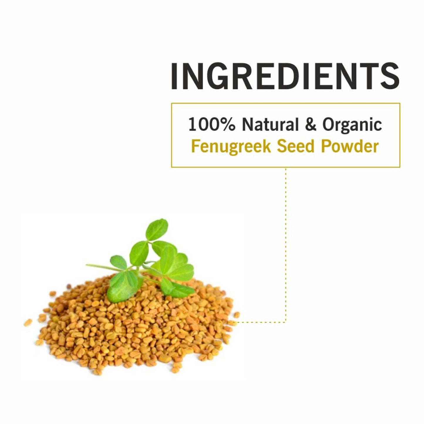 TQS Organic Fenugreek Methi Seed Powder For Hair - Anti-Dandruff & Reduces Scalp Irritation