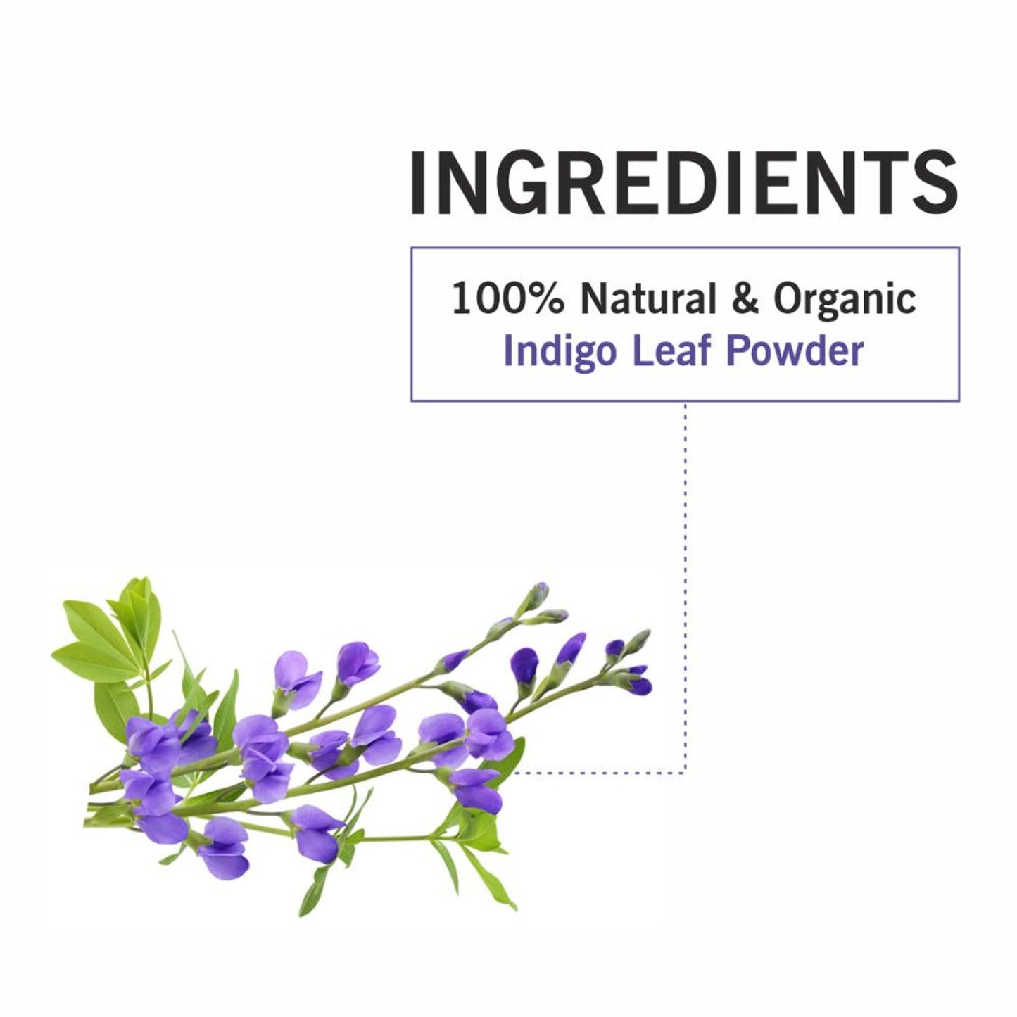 TQS Organic Indigo Powder For Natural Hair Coloring- 100% Organic, Prevents Premature Graying