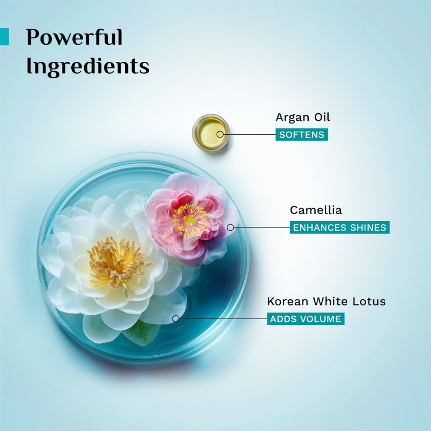 Pilgrim Argan Oil Deep Nourish Hair Mask for Dry Frizzy & Damaged Hair Boosts Shine Paraben Free