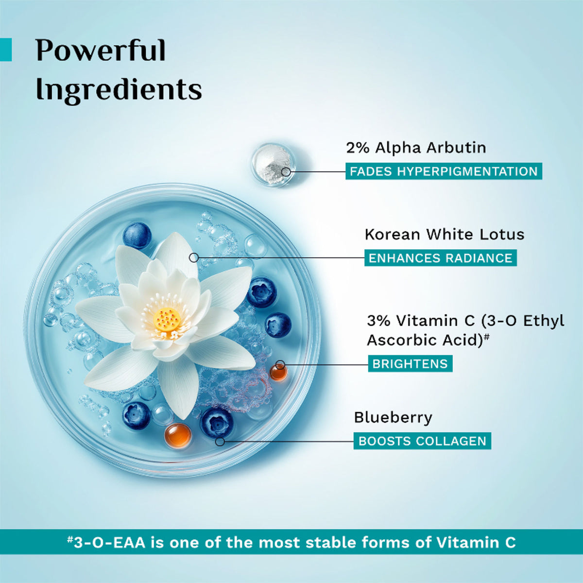 Pilgrim 2% Alpha Arbutin & 3% Vitamin C Brightening Serum, Fades Pigmentation & Brightens Skin
