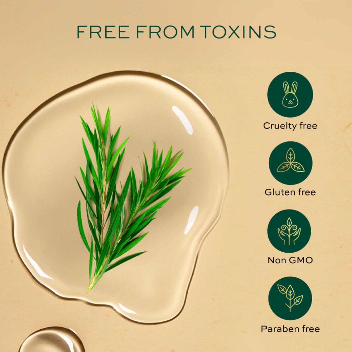 Parachute Advansed Tea Tree Essential Oil