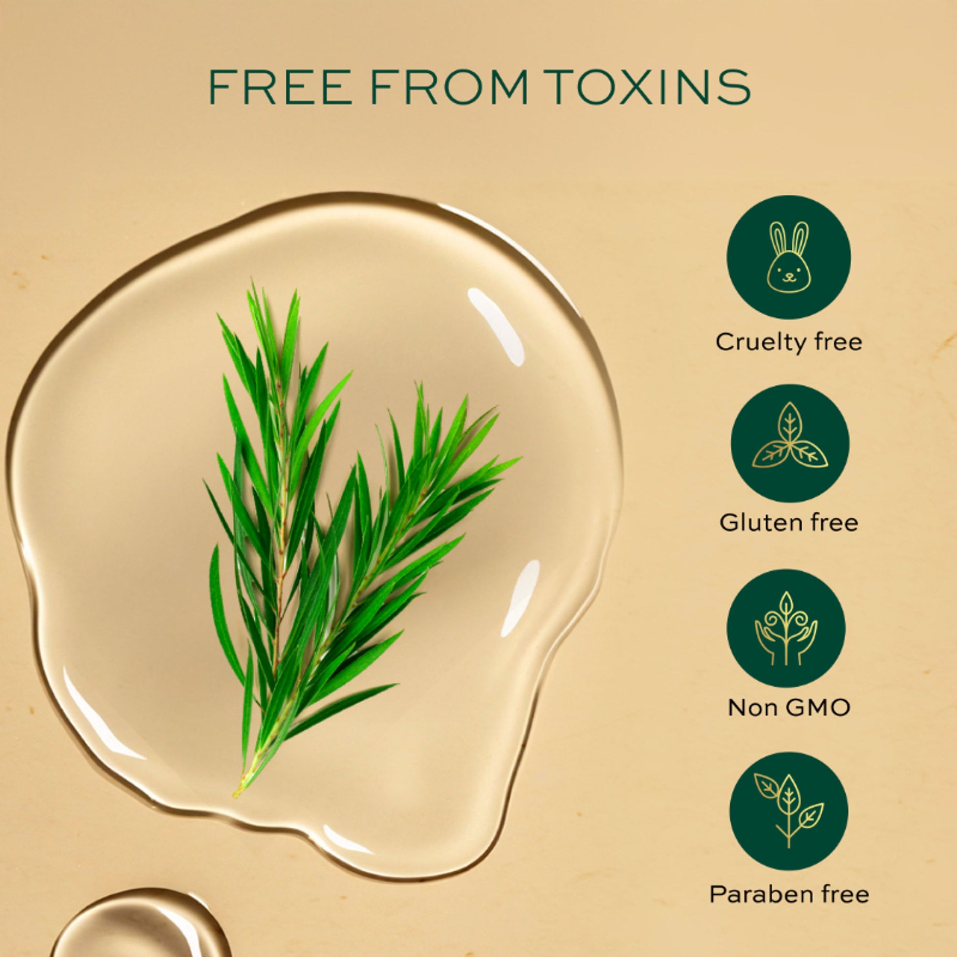 Parachute Advansed Tea Tree Essential Oil