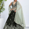 Women Olive Pure Georgette Sequins and thread embroidery  Lehenga choli & Dupatta