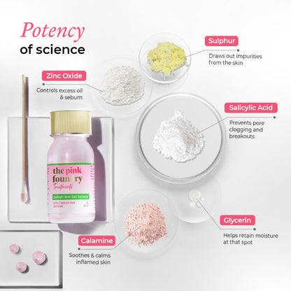 The Pink Foundry Overnight Acne Spot Corrector