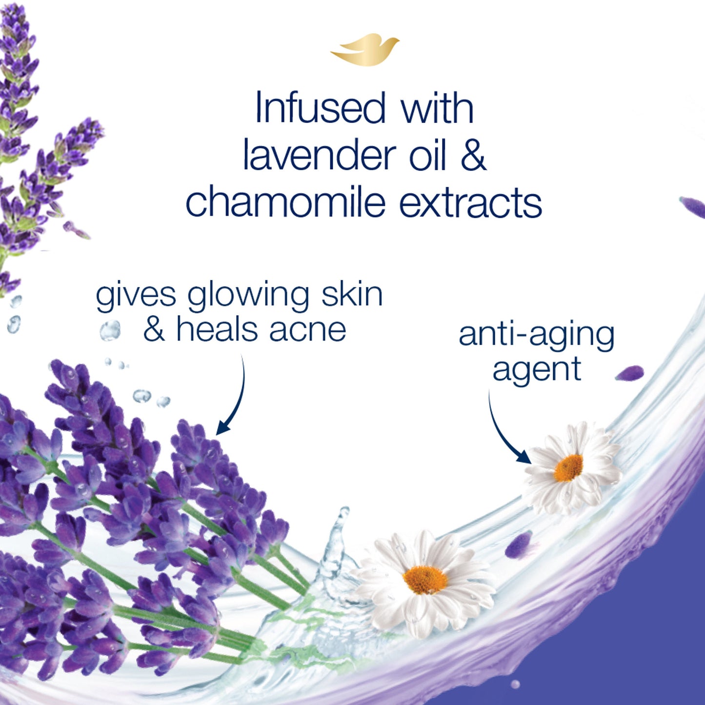 Dove Body Wash - Lavender & Chamomile Go Fresh