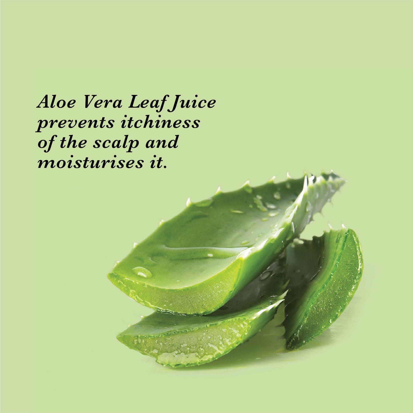 True Frog Everyday Hair Conditioner
