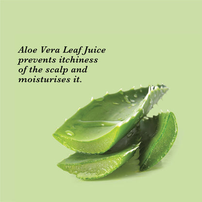 True Frog Everyday Hair Conditioner