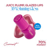 fwee 3D Voluming Gloss 30% Pigment - Currant 70