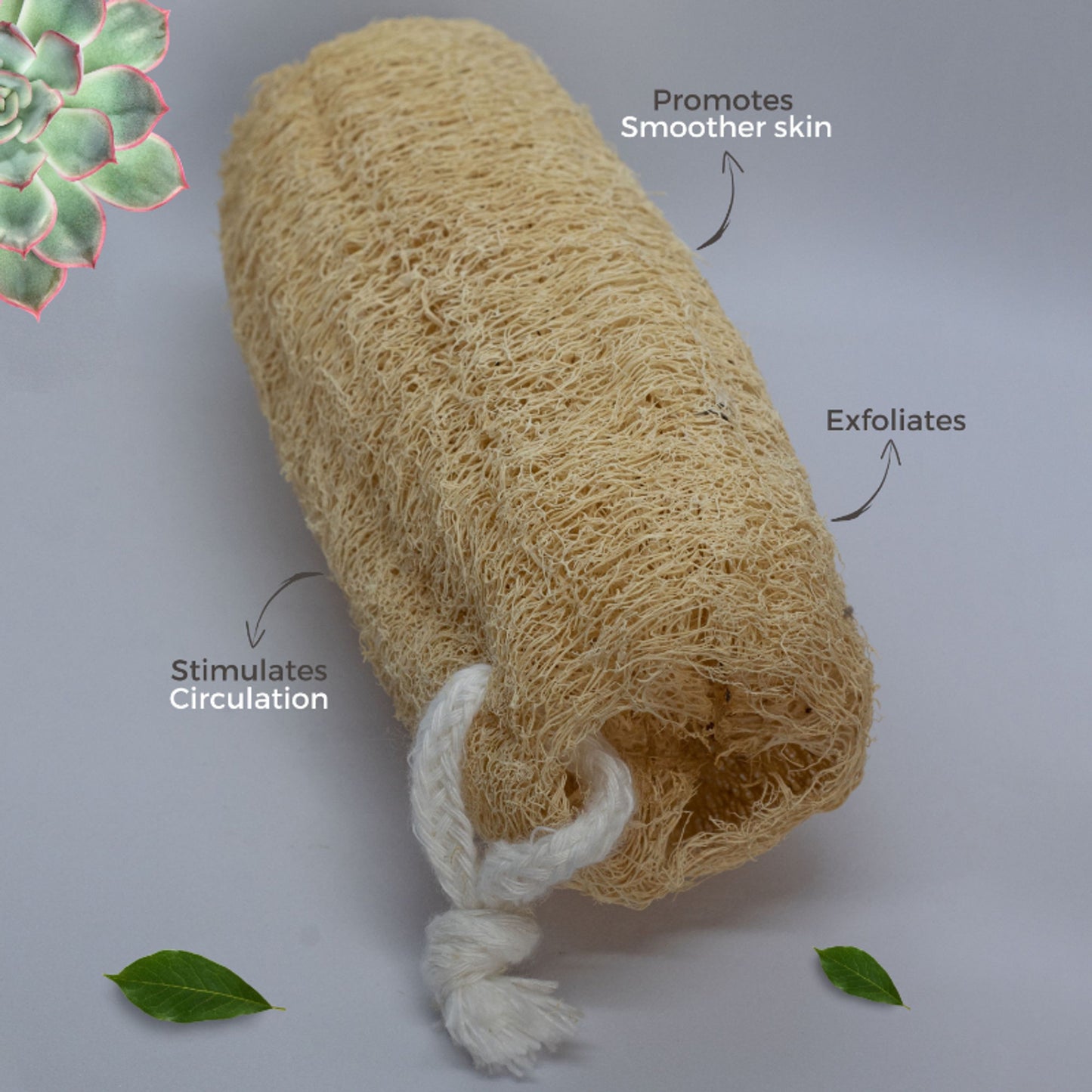 Allure Natural Loofha B - Natural Loofah