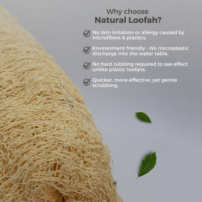 Allure Natural Loofha B - Natural Loofah