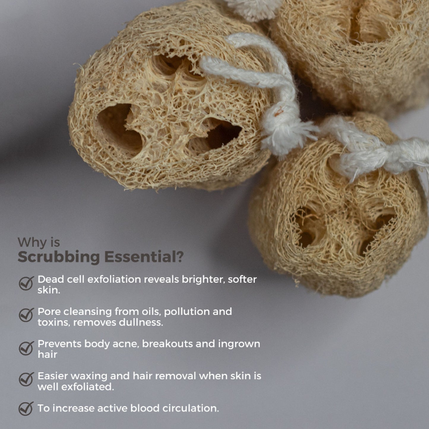 Allure Natural Loofha B - Natural Loofah