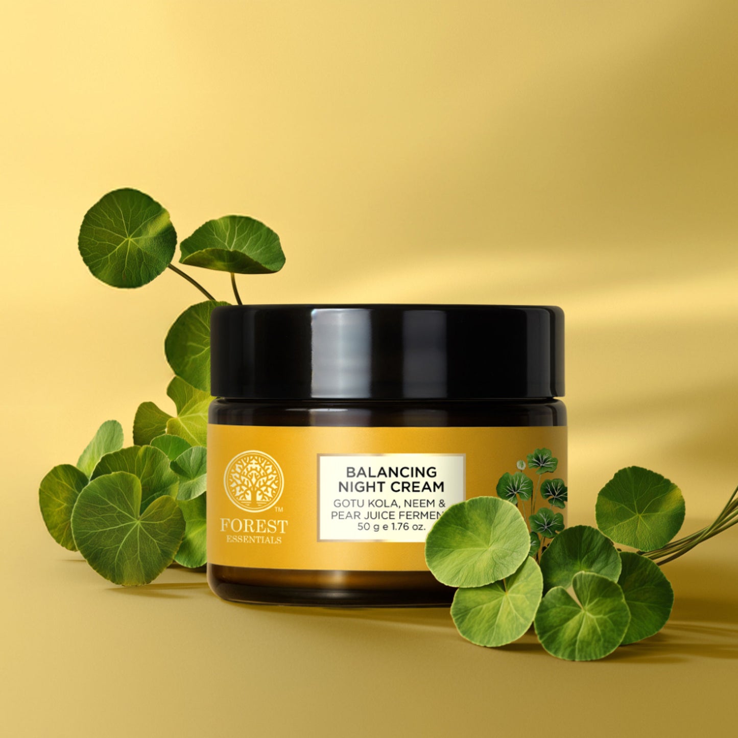 Forest Essentials Gotu Kola Balancing Night Cream For Oily & Acne Prone Skin