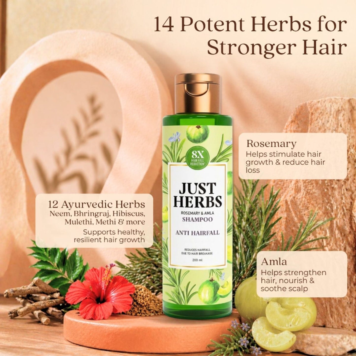 Just Herbs 8 In 1 Root Nourishing Shampoo, Amla & Neem, Normal To Oily Hair