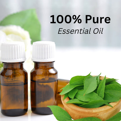 Aroma Treasures Curry Leaf Pure Essential Oil