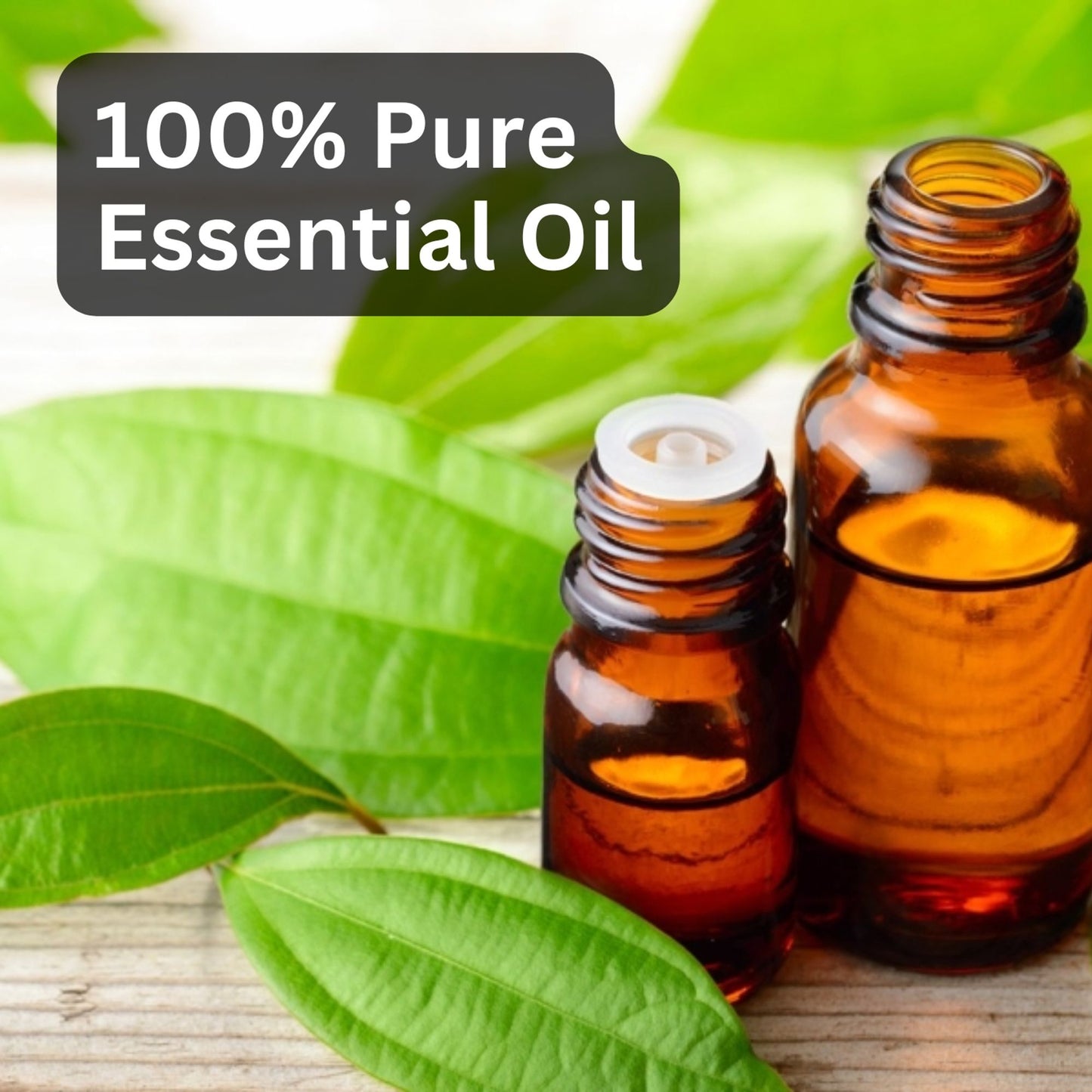 Aroma Treasures Cinnamon Leaf Pure Essential Oil