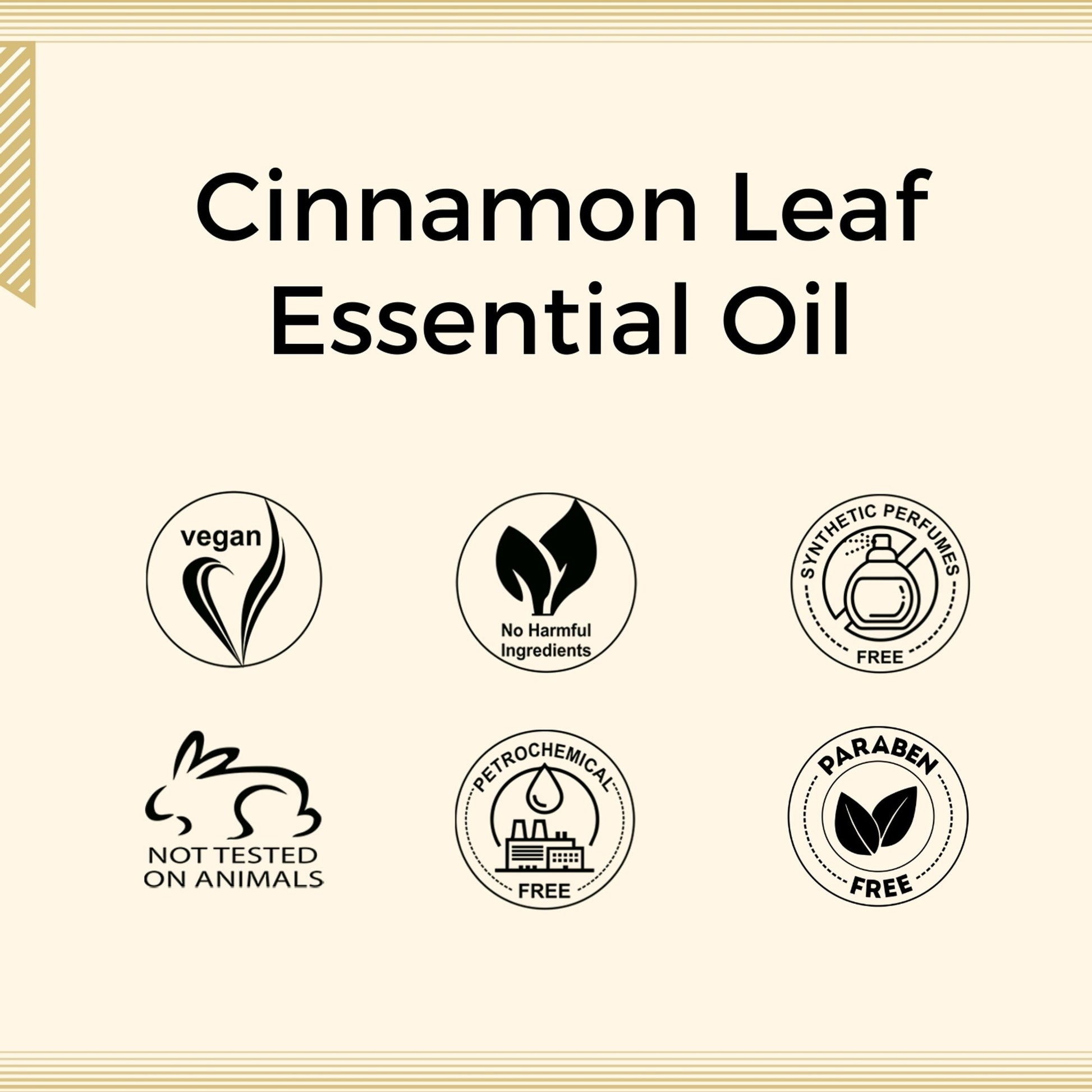 Aroma Treasures Cinnamon Leaf Pure Essential Oil