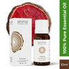 Aroma Treasures Rosewood Pure Essential Oil