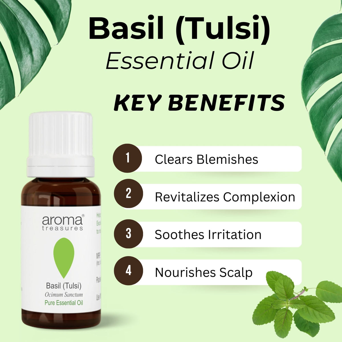 Aroma Treasures Basil (Tulsi) Pure Essential Oil