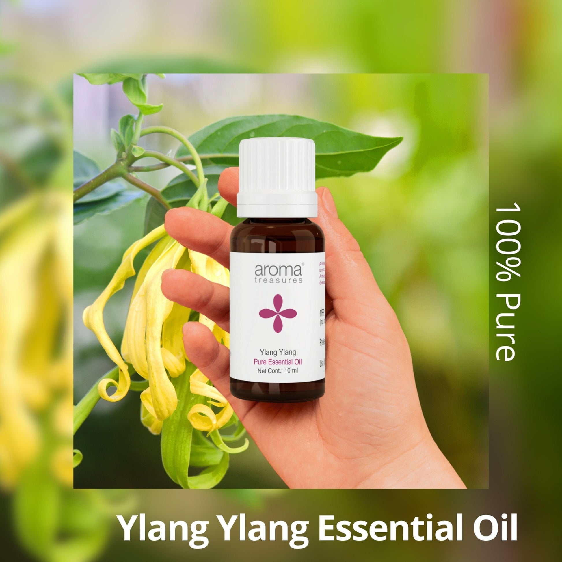 Aroma Treasures Ylang Ylang Pure Essential Oil