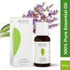 Aroma Treasures Clary Sage Pure Essential Oil
