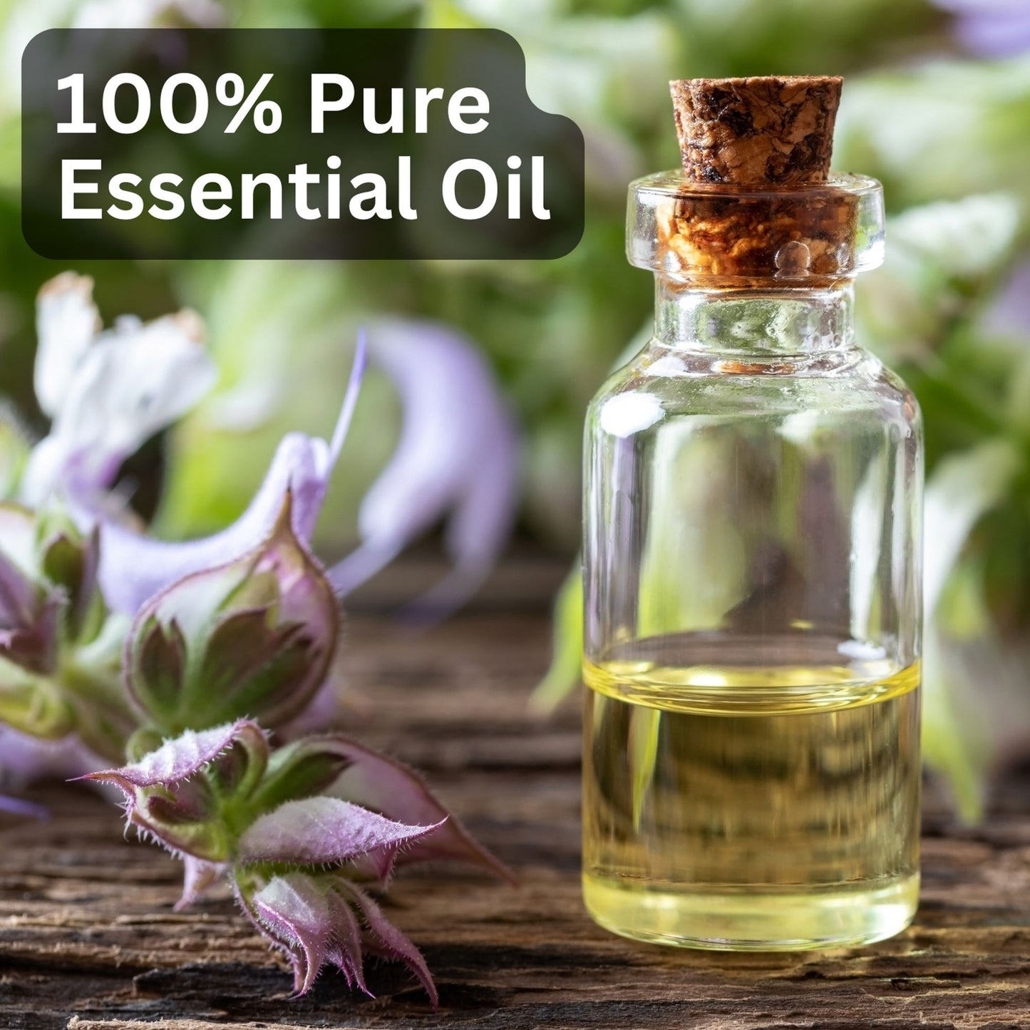 Aroma Treasures Clary Sage Pure Essential Oil