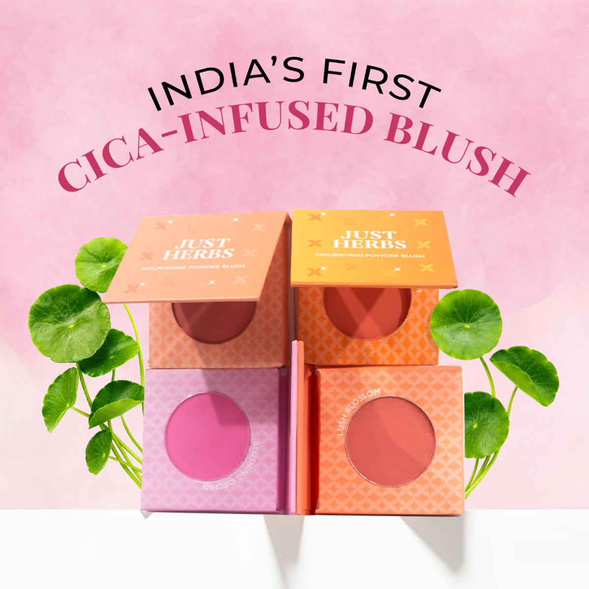 Just Herbs Nourishing Powder Blush in Velvet Rose with a smooth, blendable finish and lush blossom shade for a natural glow.