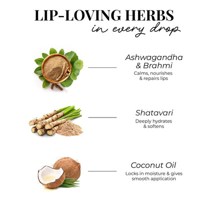 Just Herbs Herb Enriched Matte Liquid Lipstick Set Of 3 - 90'S Vibe