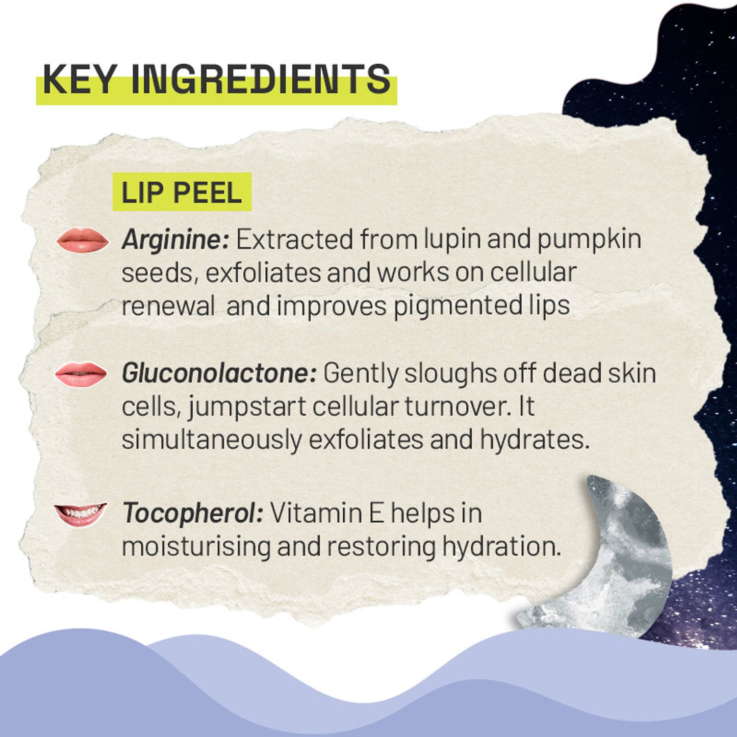 Flurth's Lipbalm + Lip Mask + Lip Peel