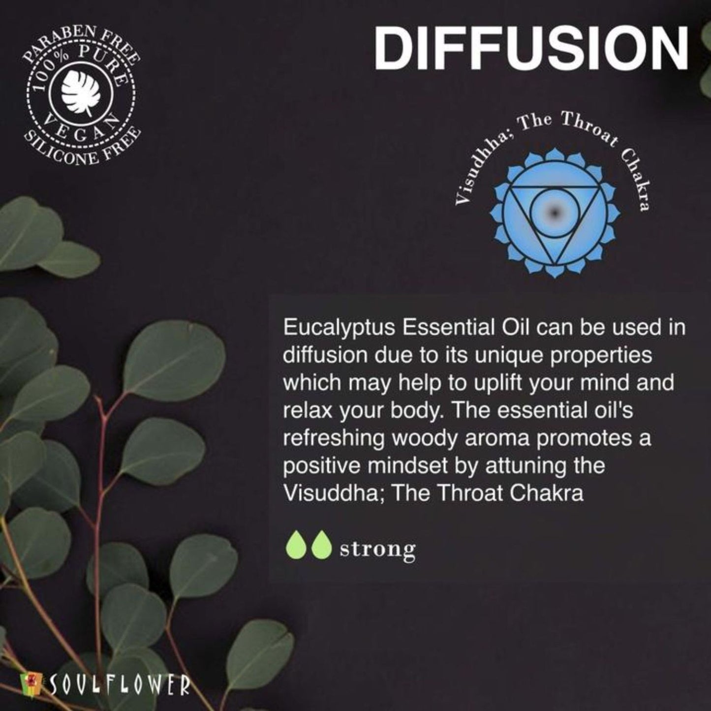 Soulflower Eucalyptus (Nilgiri) Essential Oil, for Steam Inhaler, Cold and Cough, Relaxing