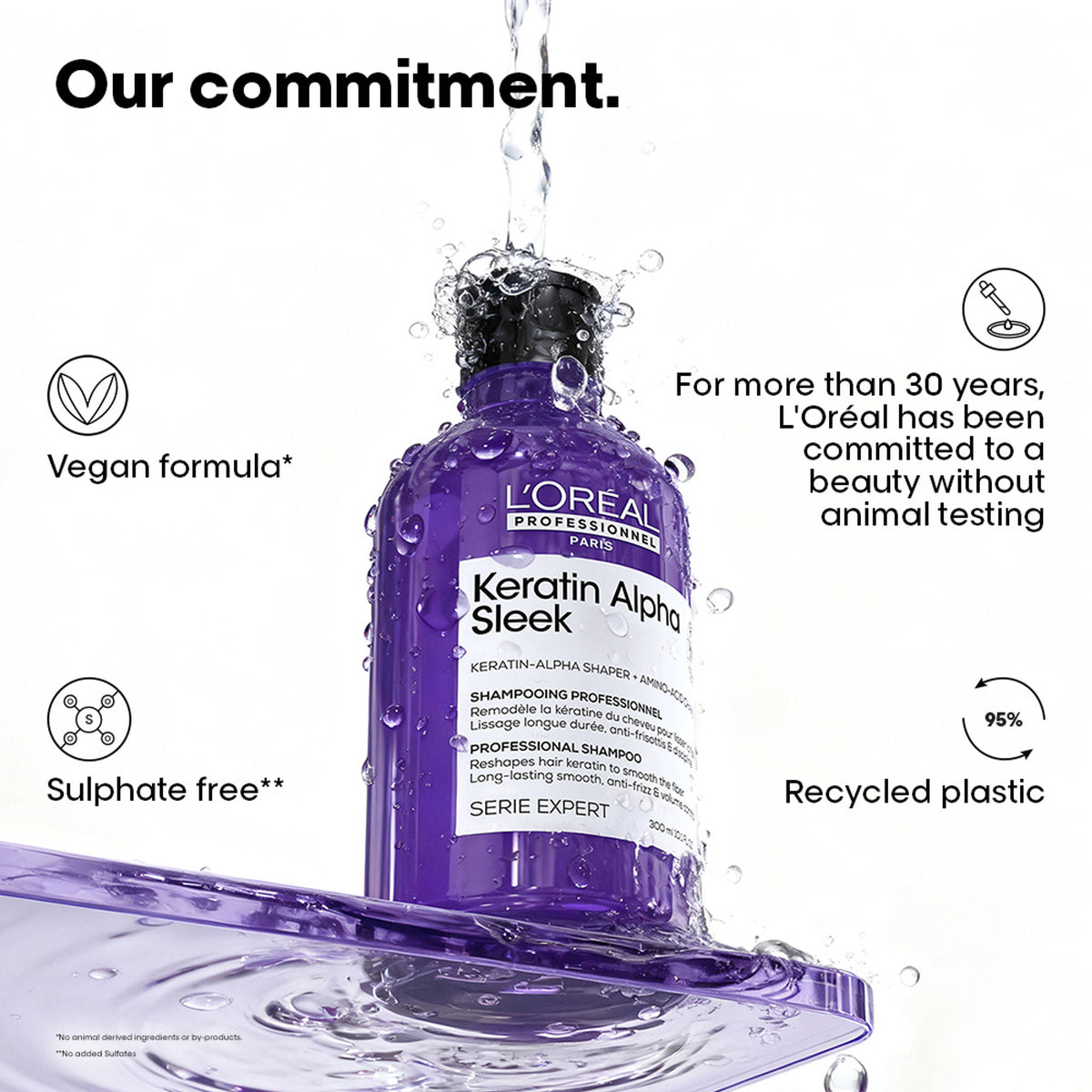 L'Oreal Professionnel Keratin Alpha Sleek Shampoo, Frizz Control and Smoothness for frizzy hair