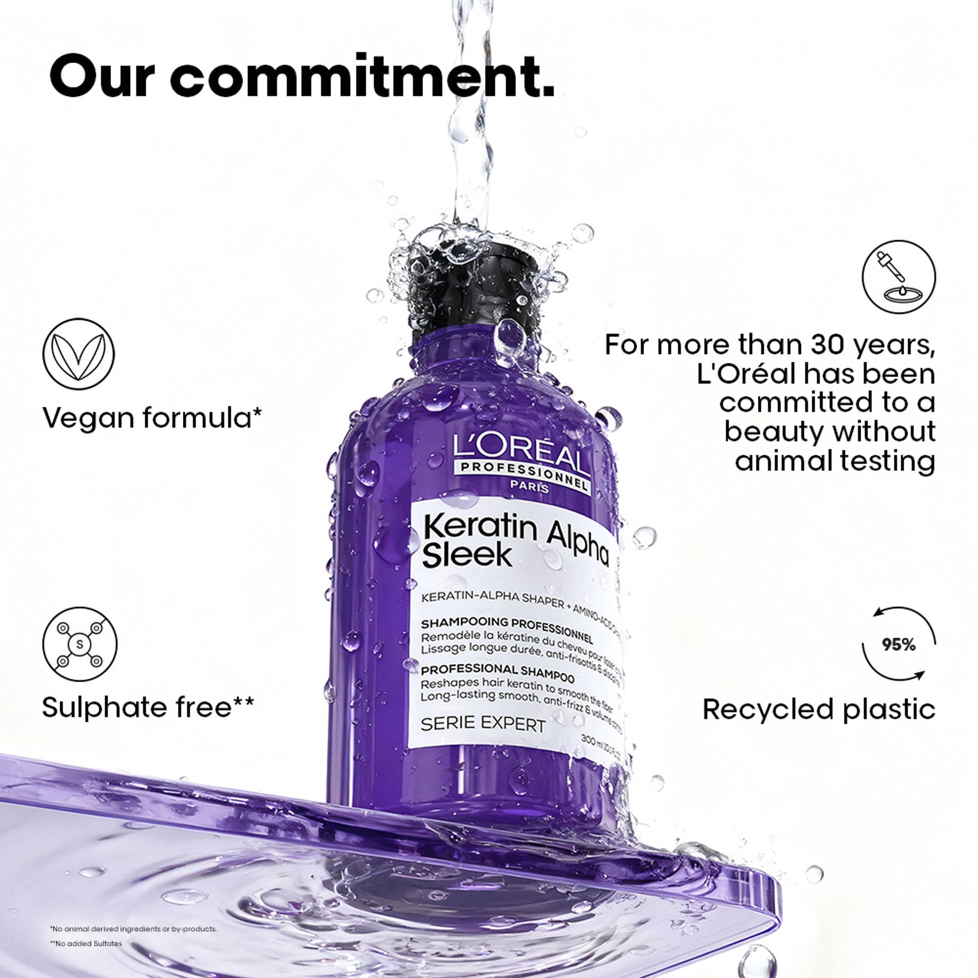 L'Oreal Professionnel Keratin Alpha Sleek Shampoo, Frizz Control and Smoothness for frizzy hair