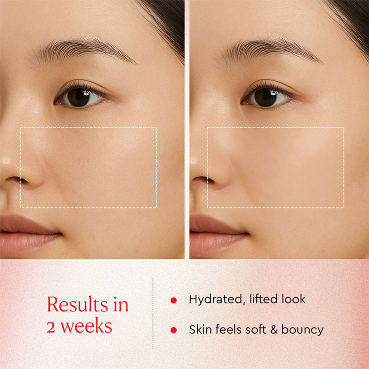 The Face Shop Collagen & Pomegranate Emulsion - Anti Aging Korean Moisturizer with Panthenol