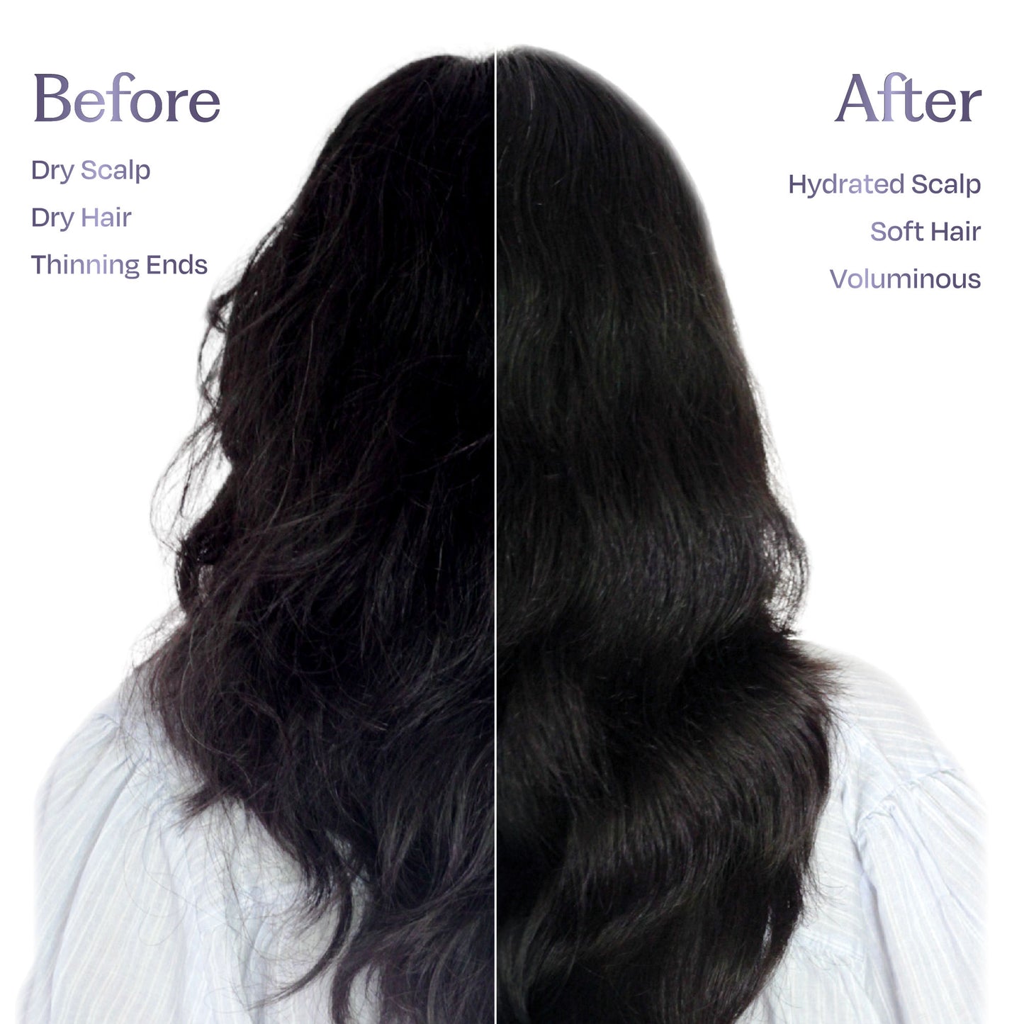 Sacred Grove Herbal Shampoo for Frizzy Dry Hair Gentle Natural Shampoo for Hair Fall Control