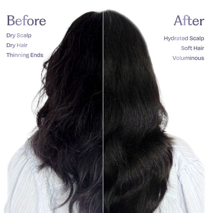 Sacred Grove Herbal Shampoo for Frizzy Dry Hair Gentle Natural Shampoo for Hair Fall Control