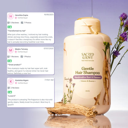 Sacred Grove Herbal Shampoo for Frizzy Dry Hair Gentle Natural Shampoo for Hair Fall Control