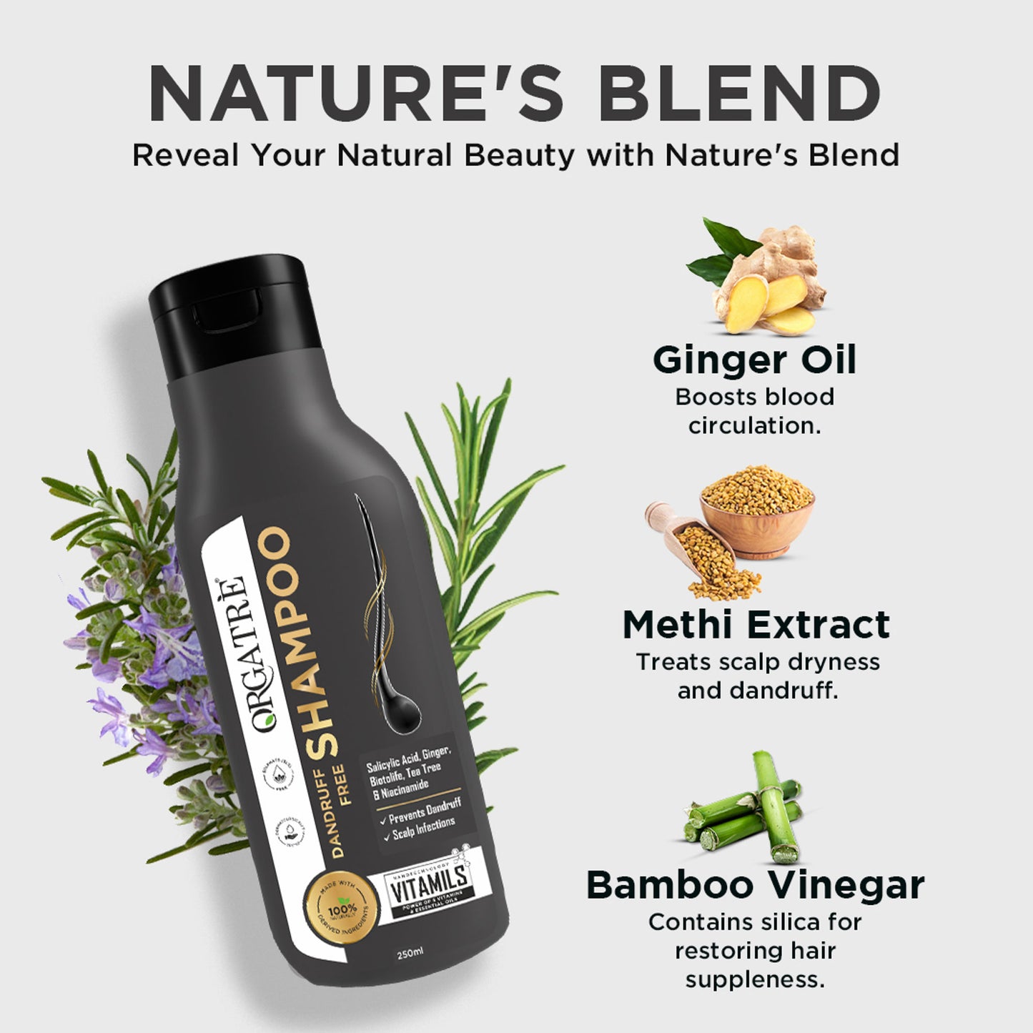 Orgatre Dandruff Free Shampoo With Tea Tree, Ginger, Rosemary Oil, Paraben & Sulphate Free