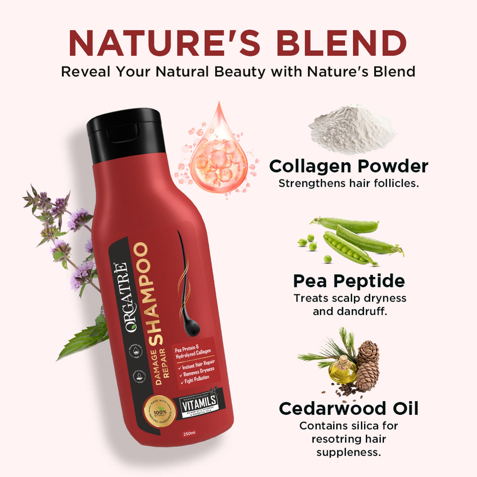 Orgatre Damage Repair Shampoo With Protein And Hydrolyzed Collagen, Paraben & Sulphate Free