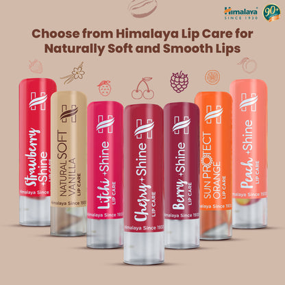 Himalaya Rich Cocoa Butter Lip Care