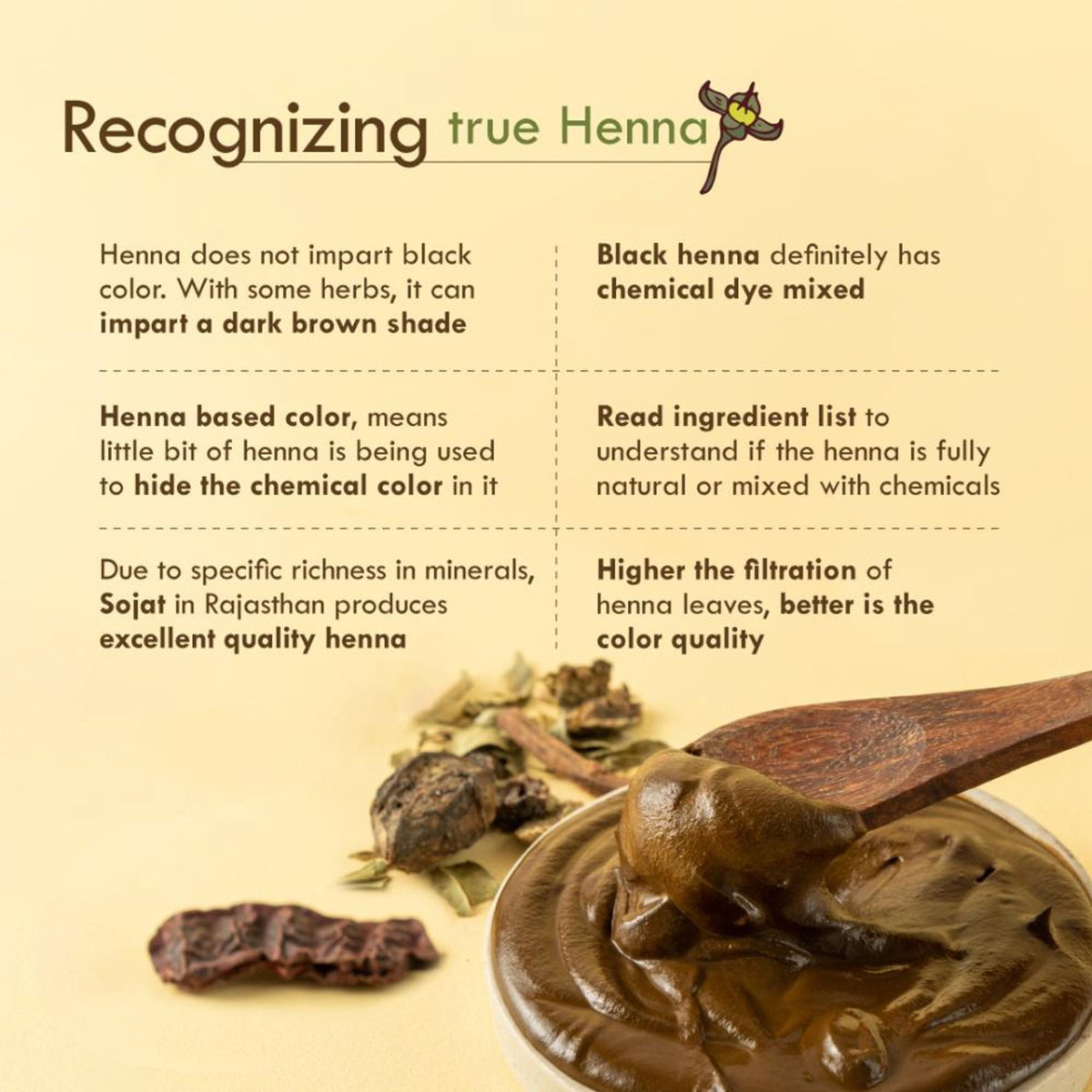 Nat Habit Henna Root Touch Up Paste - Rich Brown (Pack Of 2)