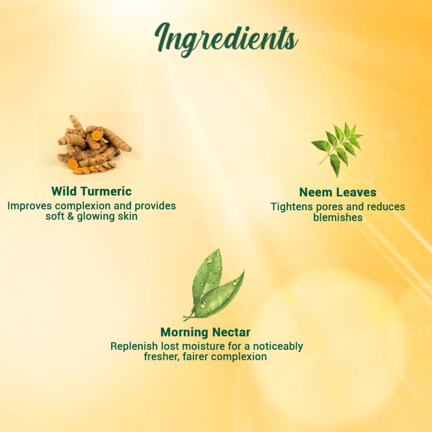 Biotique Bio Morning Nectar Visibly Flawless Sun Protector SPF 30+